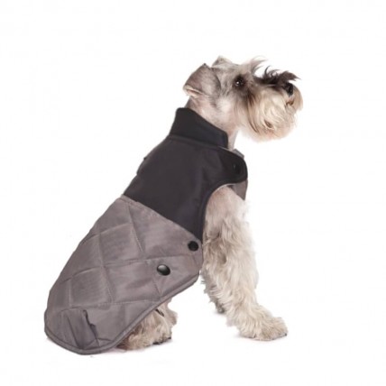 Hunderegenmantel Willy Sport - 3