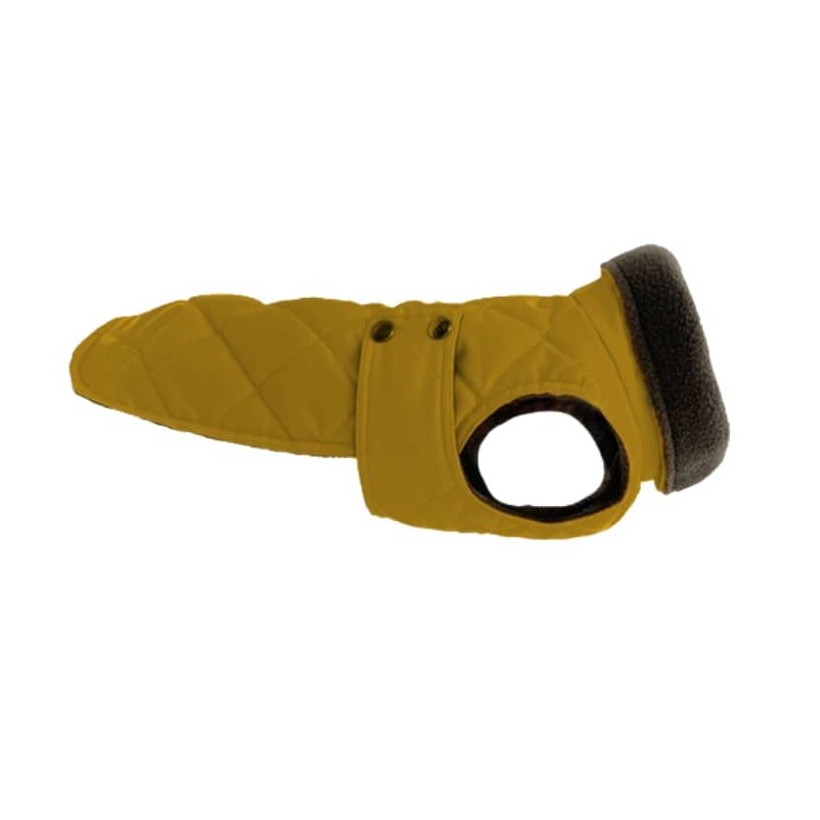 Hunderegenmantel Maxi Gold - 1