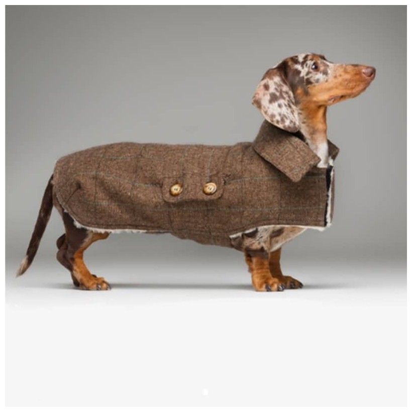 Stoffmantel Grace für Hunde - 2