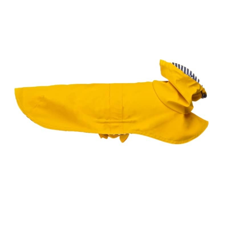 Tintin Yellow dog raincoat