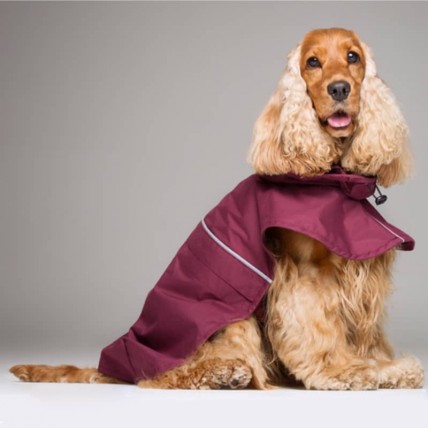 Hunderegenjacken Tintin Wine - 2