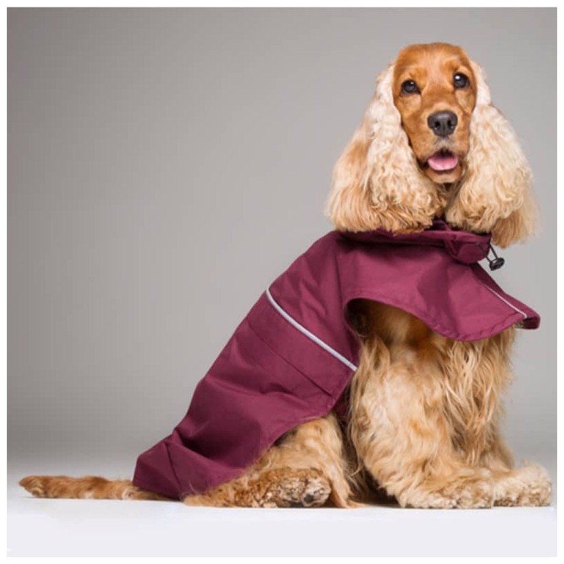 Hunderegenjacken Tintin Wine - 2