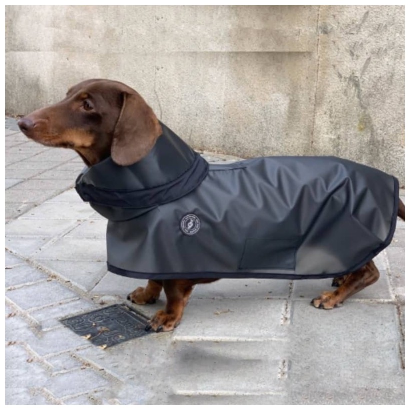 Hunderegenjacken Tintin Zero Black - 2