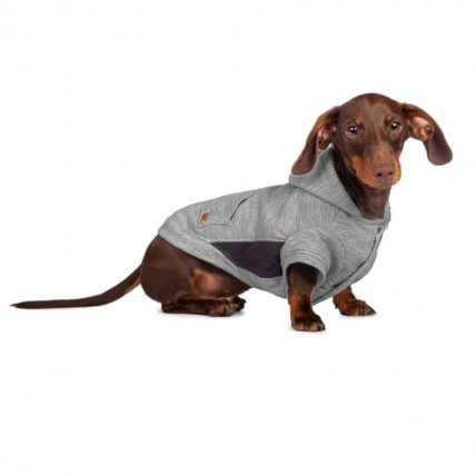 Sweatshirt Boston Grey für Hunde - 2