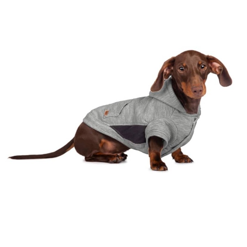 Sweatshirt Boston Grey für Hunde - 2