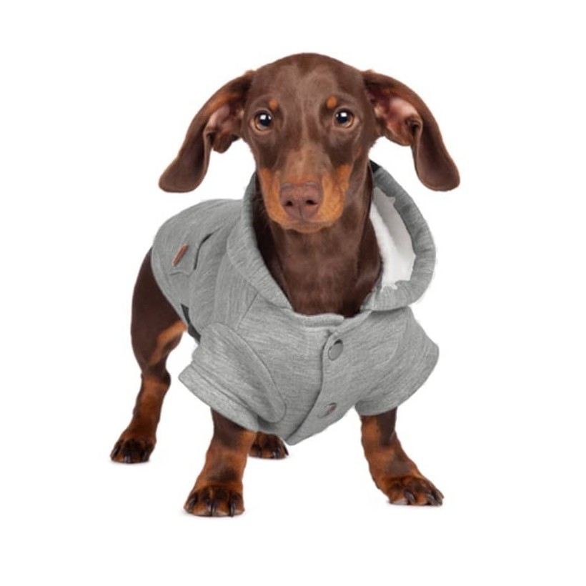 Sweatshirt Boston Grey für Hunde - 4