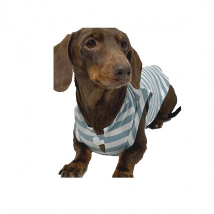 Hundeshirt Fresh Aquamarine - 2