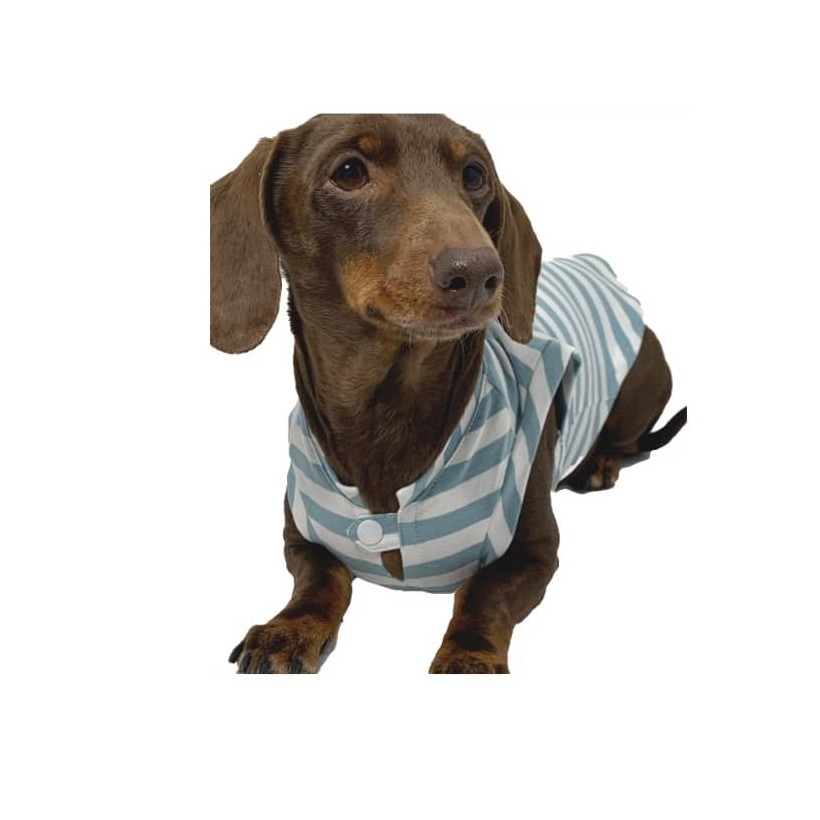 Hundeshirt Fresh Aquamarine - 2