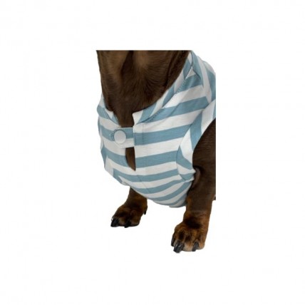 Hundeshirt Fresh Aquamarine - 6