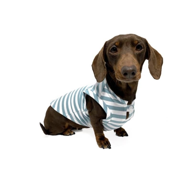 Hundeshirt Fresh Aquamarine - 1