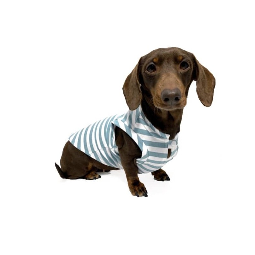 Hundeshirt Fresh Aquamarine - 1