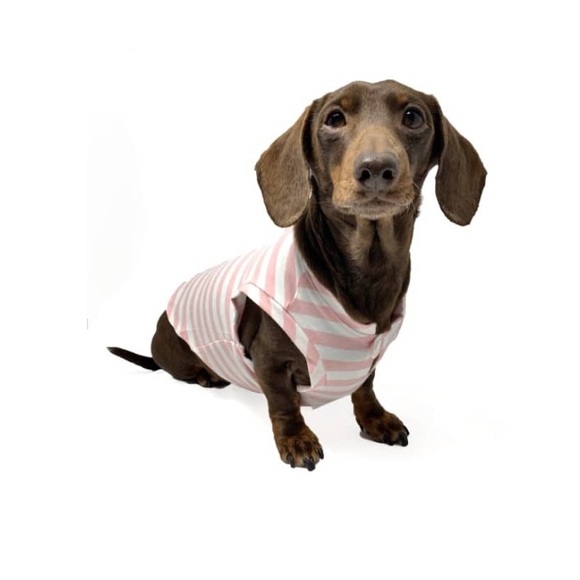 Hundeshirt Fresh Pink - 2