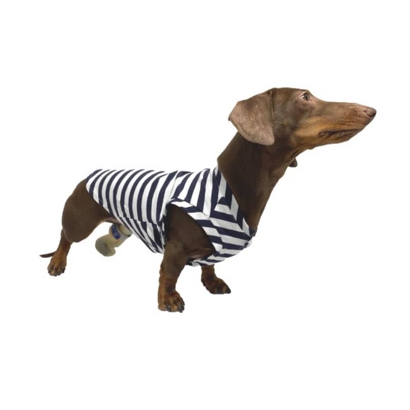 Hundeshirt Fresh Blue