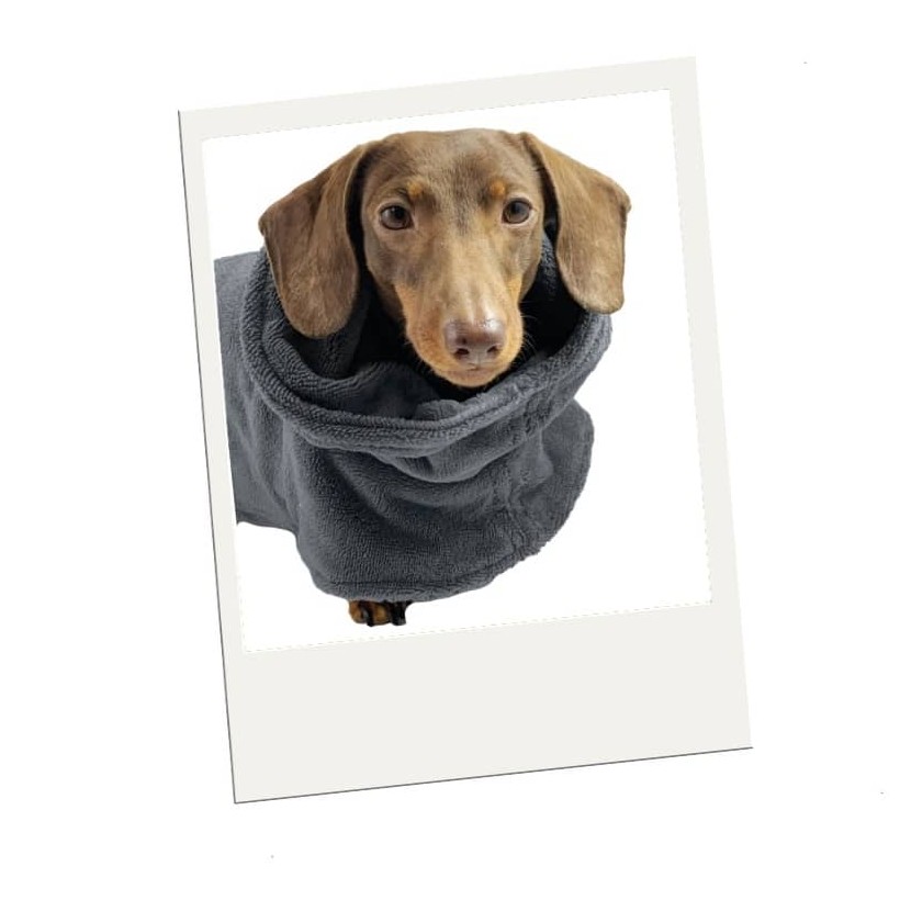 Hundebademantel Spa Grey - 2