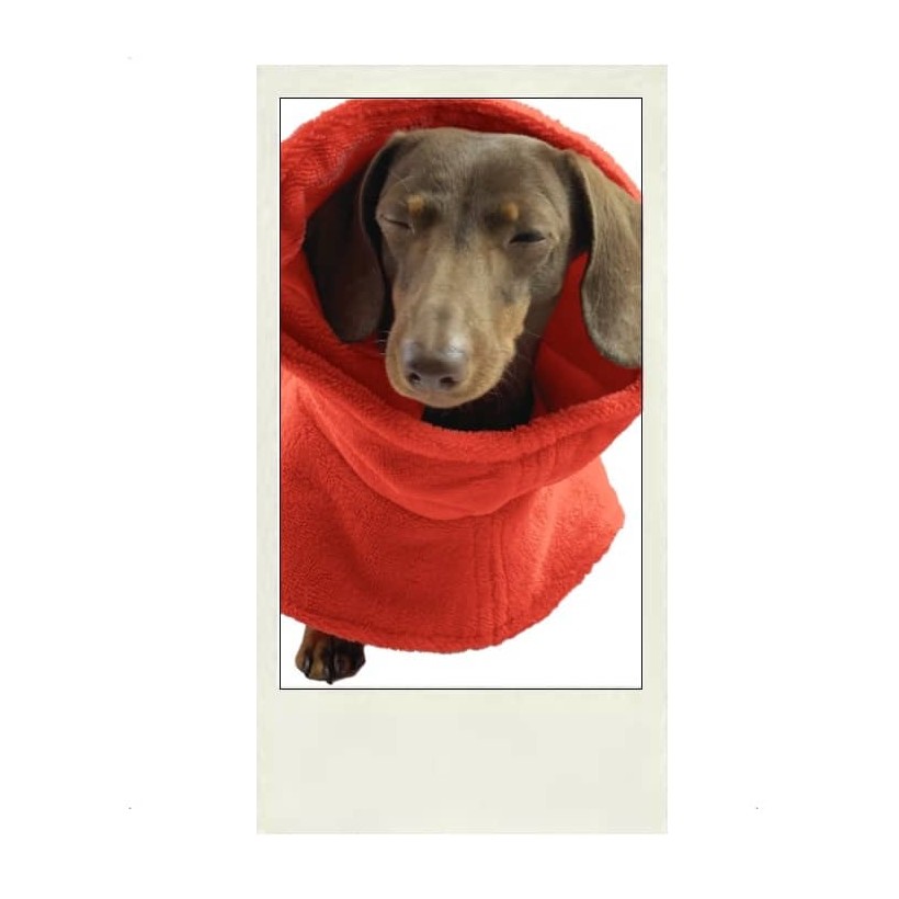 Hundebademantel Spa Coral - 2