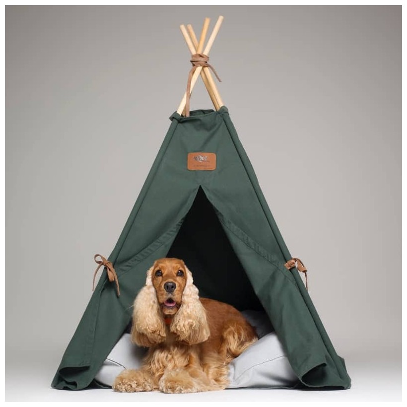 Tipi Olive für Hunde - 1