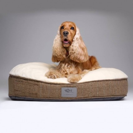 Rundes Hundebett Oslo - 3