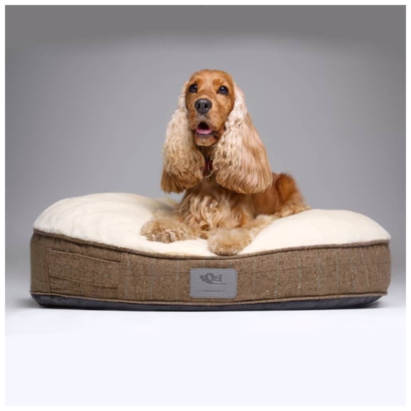 Rundes Hundebett Oslo - 3