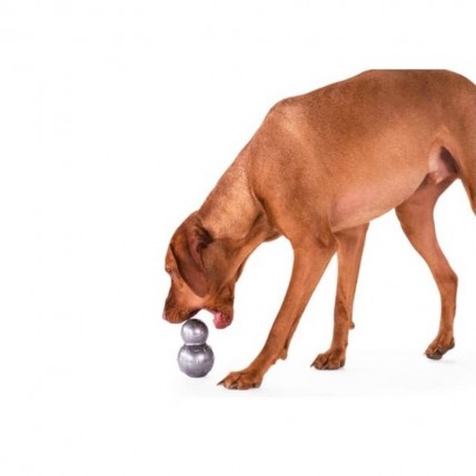 Doppelball für Hunde - 2