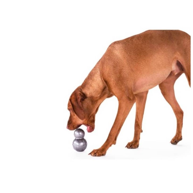 Doppelball für Hunde - 2