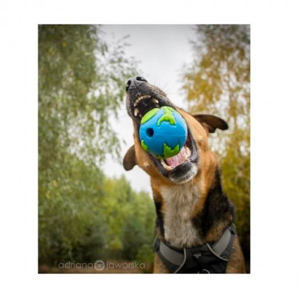 World ball für Hunde - 5