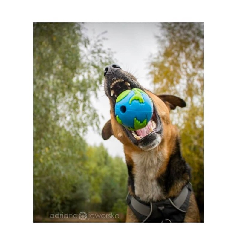 World ball für Hunde - 5