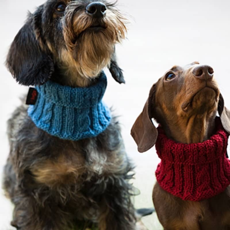 Merino Wollkragen für hunde - 7