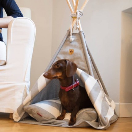 Tipi Grey für Hunde - 3