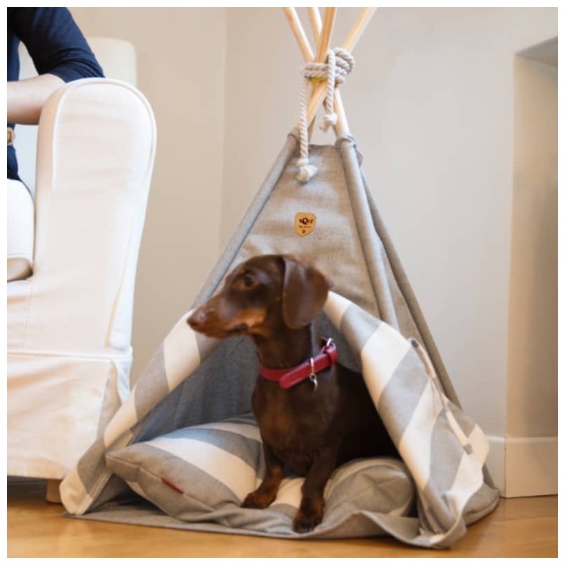 Tipi Grey für Hunde - 3