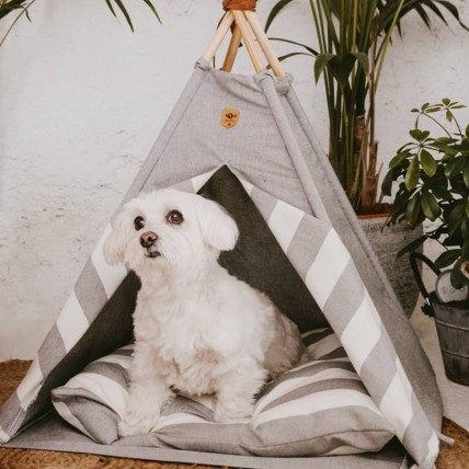 Tipi Grey für Hunde - 5