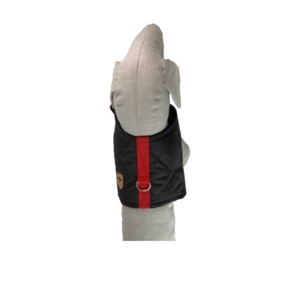 Gepolstertes Hundegeschirr Choco - 4