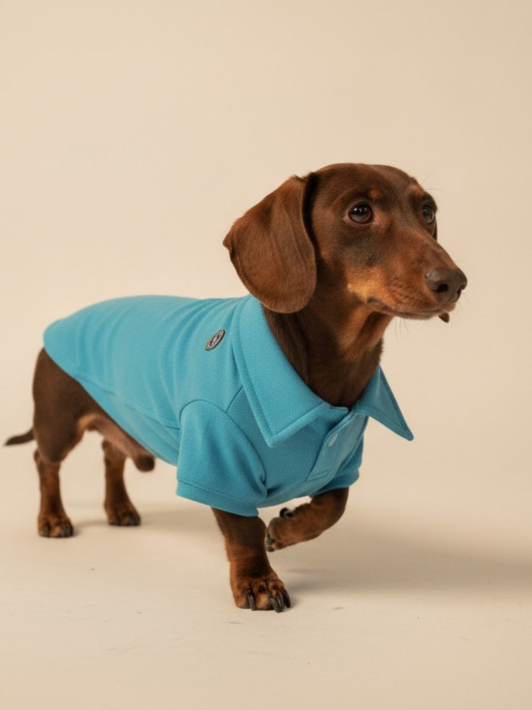 Classic Blue Polo