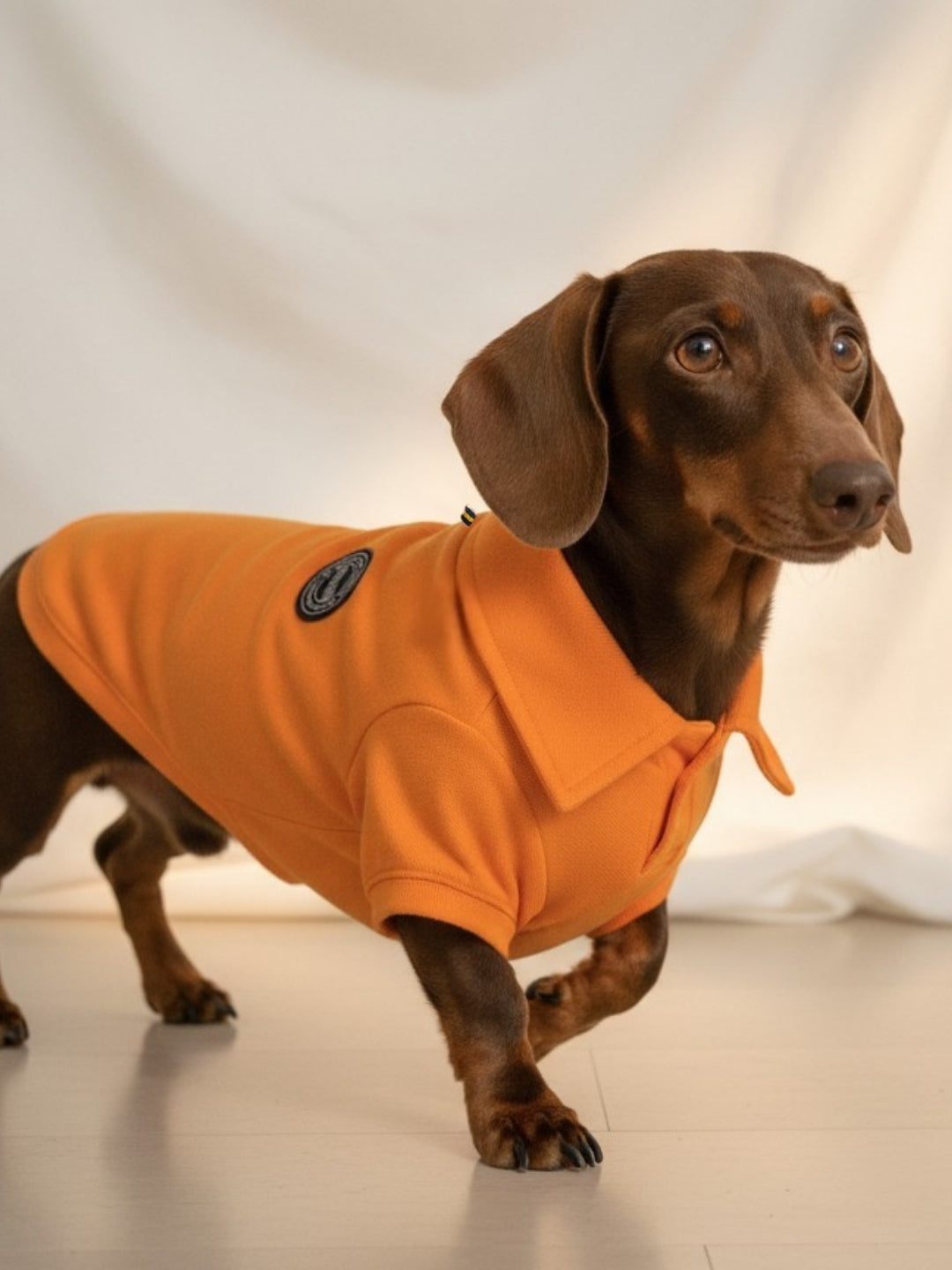 Polo Classic Orange