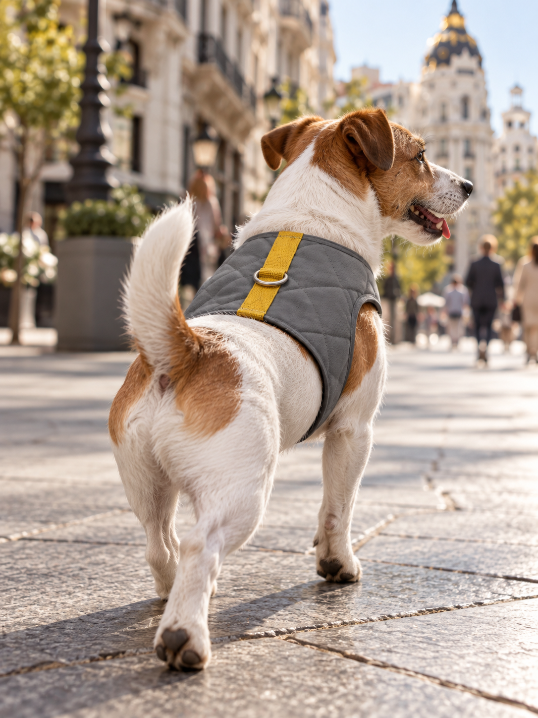 Padded Harness Grey