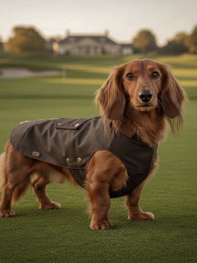 Barbour-style coat Brown
