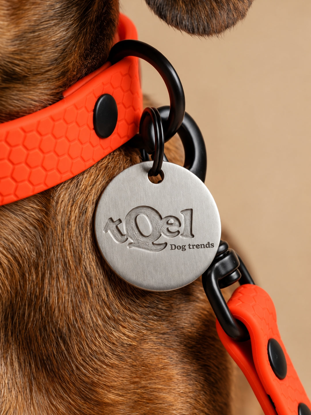 Collar impermeable para perros