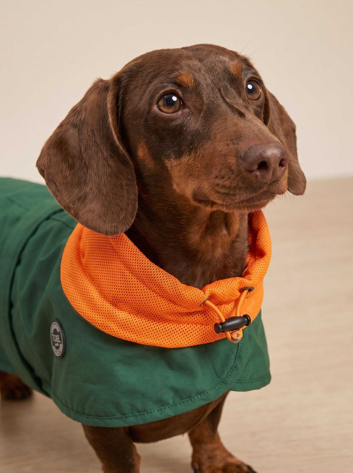 Chubasquero para perros verde