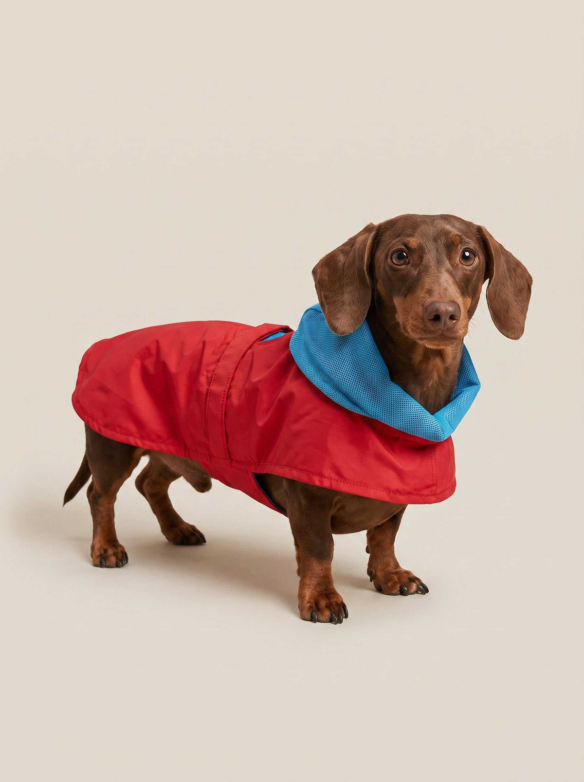 Chubasquero Tintin Air Red