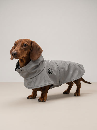 Tintin Shark Raincoat