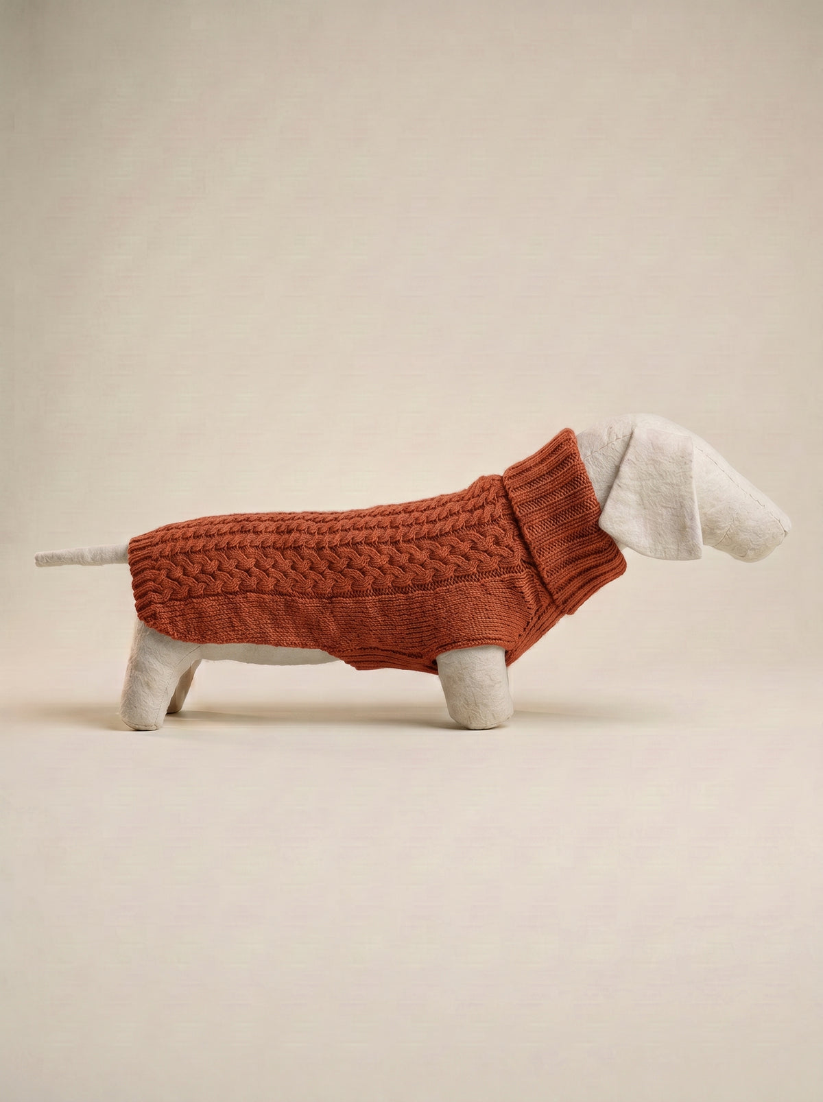 jersey para perros