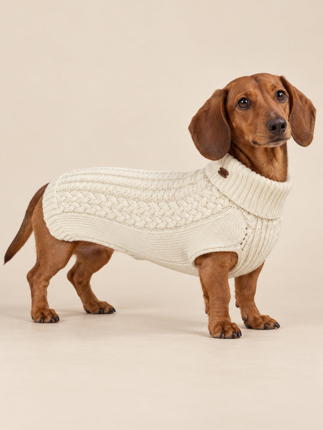 jersey blanco para perros