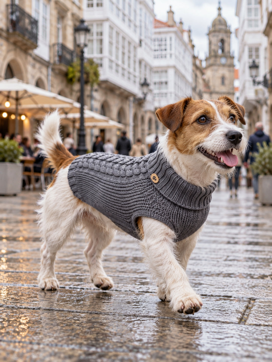 jersey de lana merino para perros