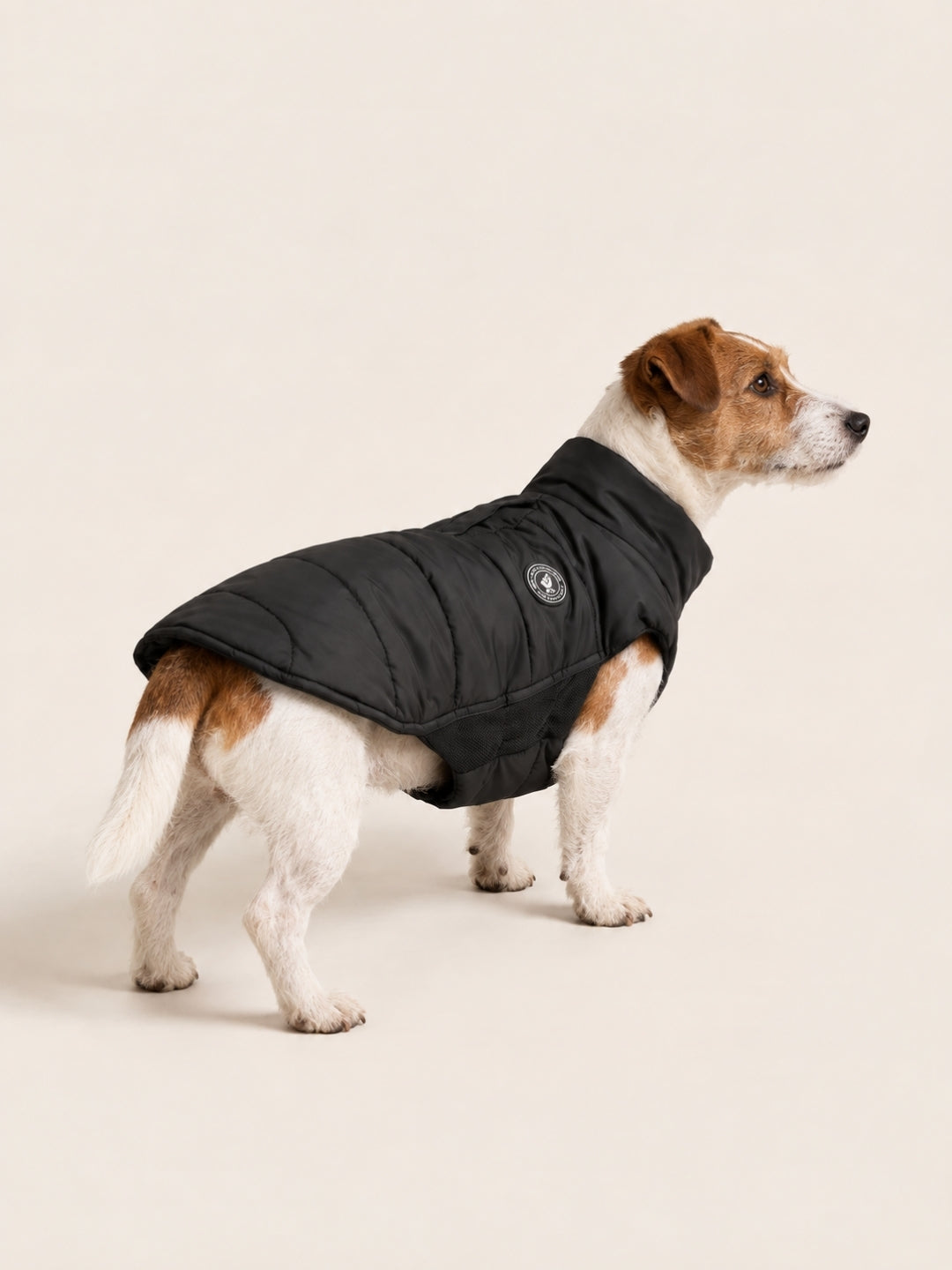 Artic-Daunenjacke Black