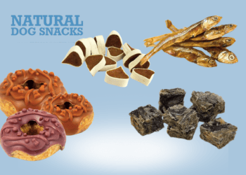 Snacks