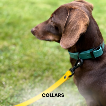Collar hunter