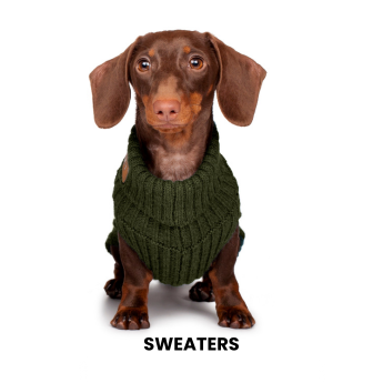 Jerseys para perros